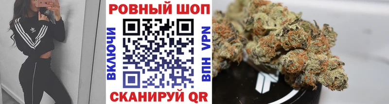 Где можно купить наркотики Ядрин Конопля  Галлюциногенные грибы  ГАШИШ  APVP 