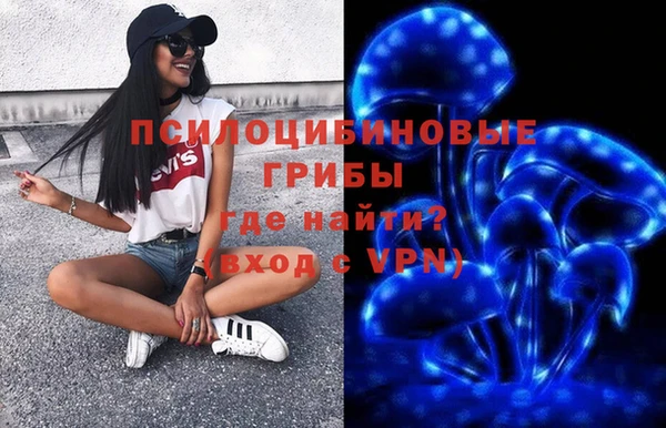 первитин Алексеевка